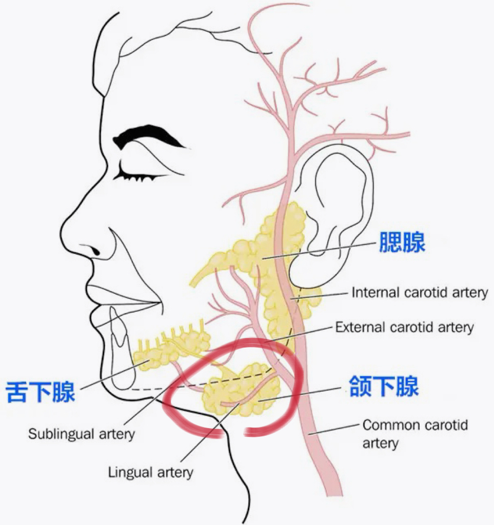 有些双下巴做吸脂只能改善,并不能完全祛除,比如今天