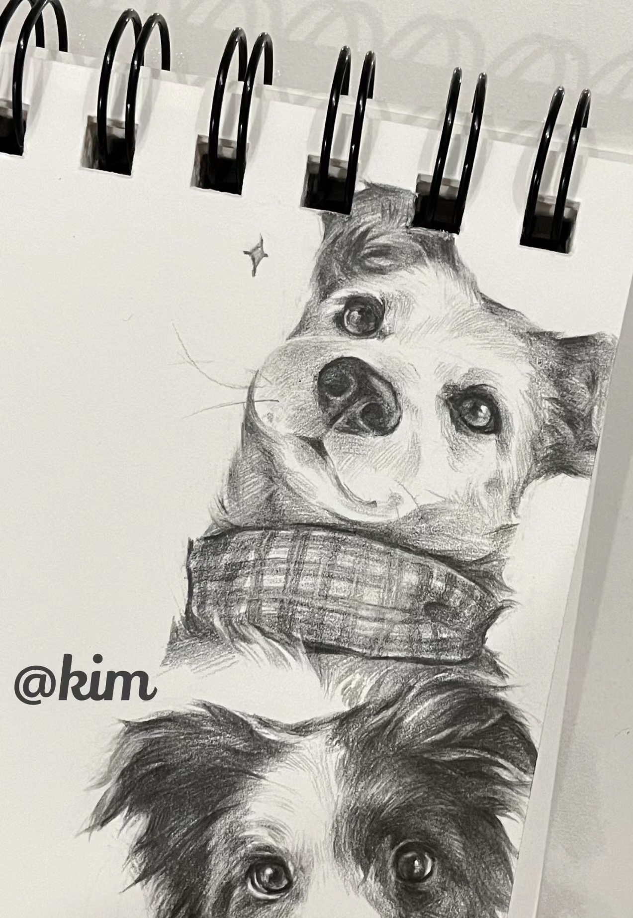 朋友的大娃子画的素描狗勾,简直就是兴趣能量站,线条细腻,形态逼真