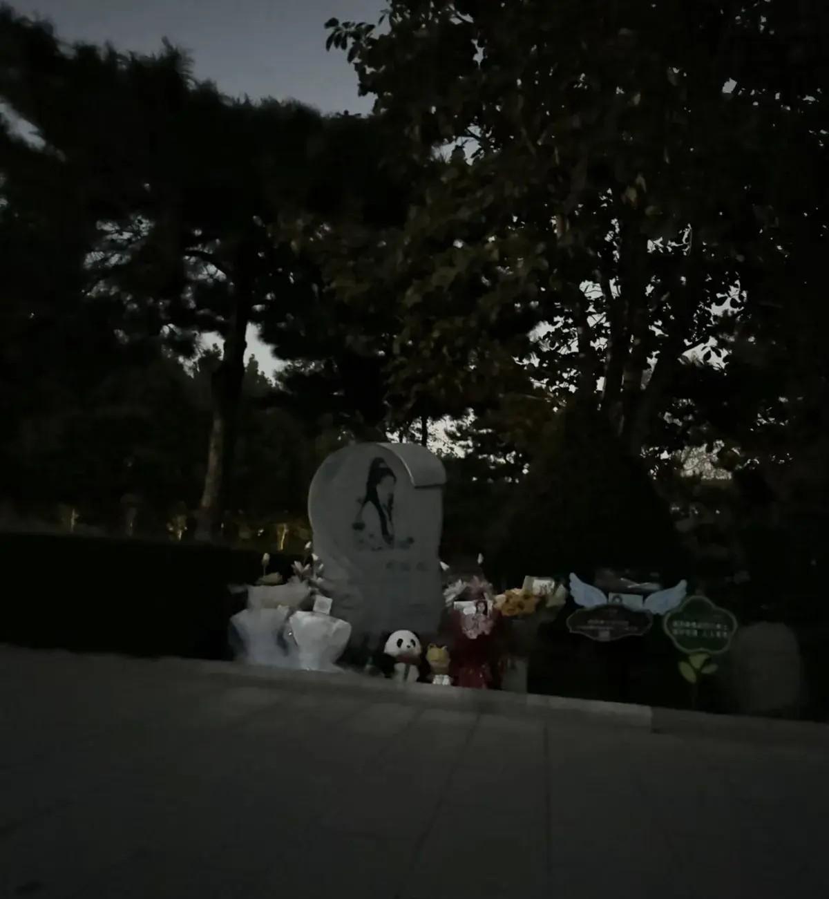 重阳节夜晚周海媚墓地荒凉,碑前鲜花稀少周围空无一人