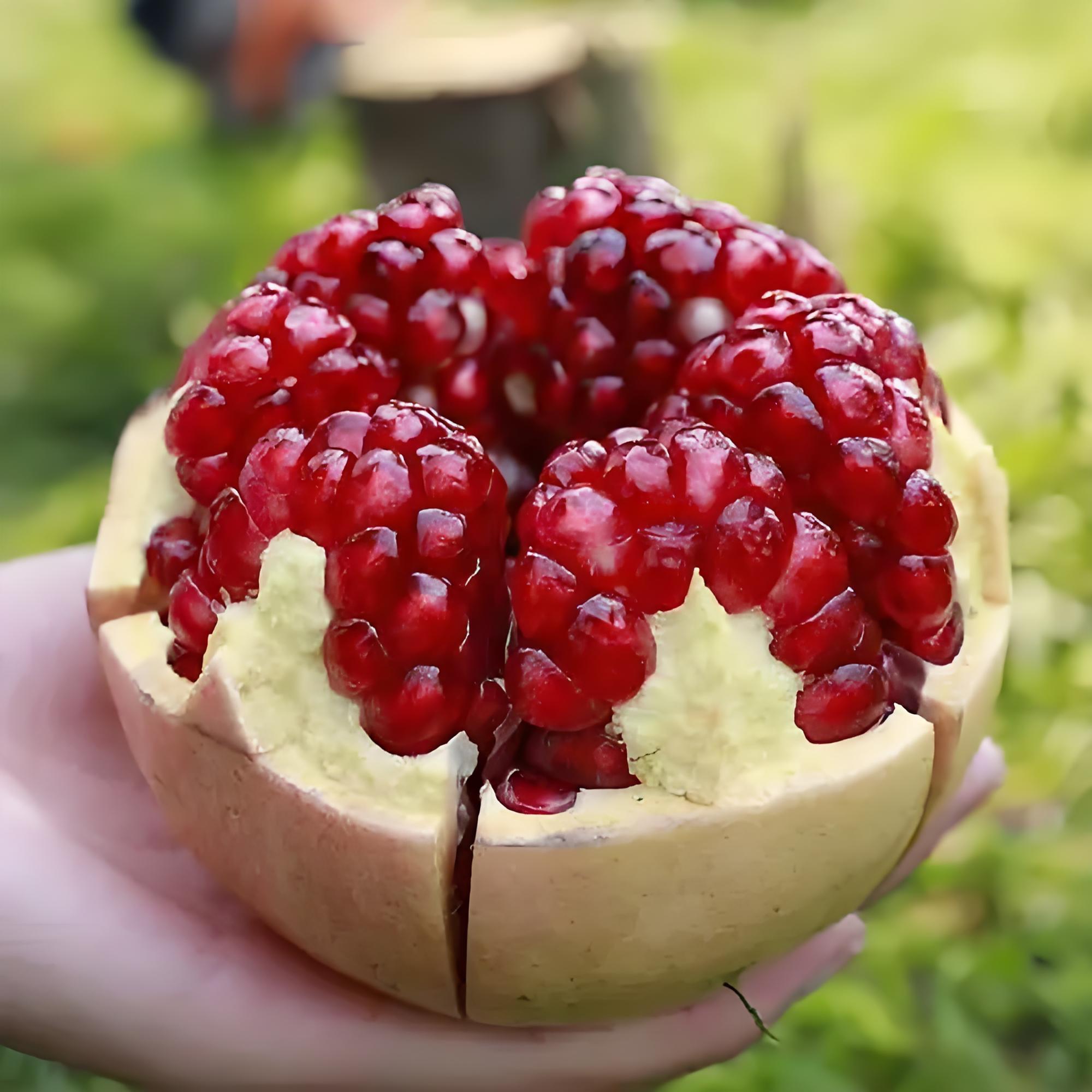 营养丰富的"宝石果实":石榴