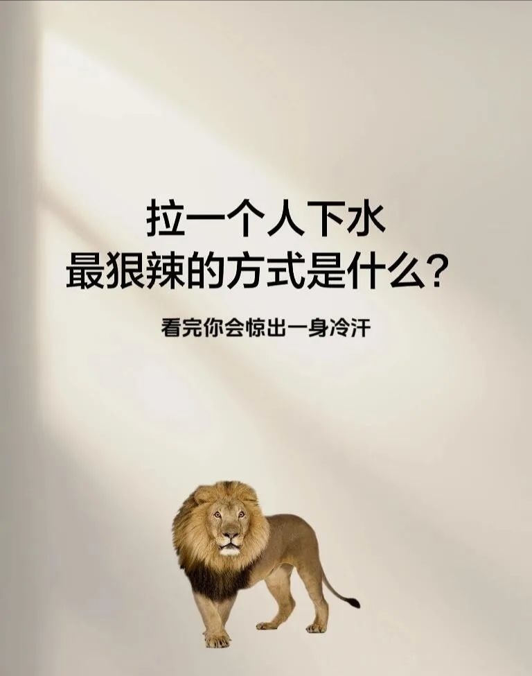 心软的人,一定要读博弈论