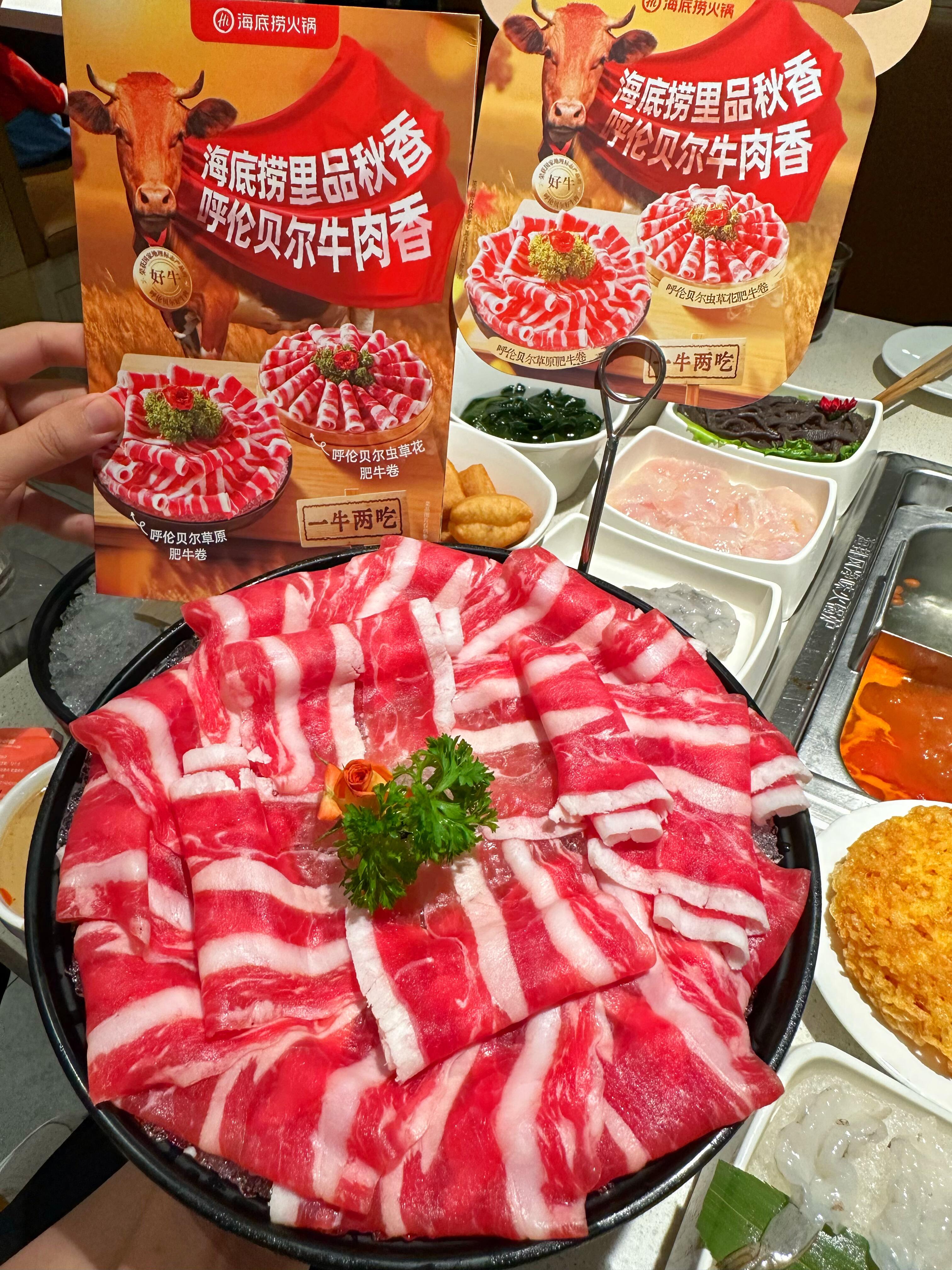 涮锅产品图片海底捞火锅(沈阳三台子万象汇店)一盘肉海底捞肥牛图片