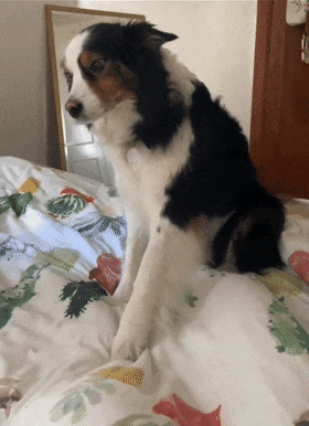 280_386竖版 竖屏gif 动态图 动图