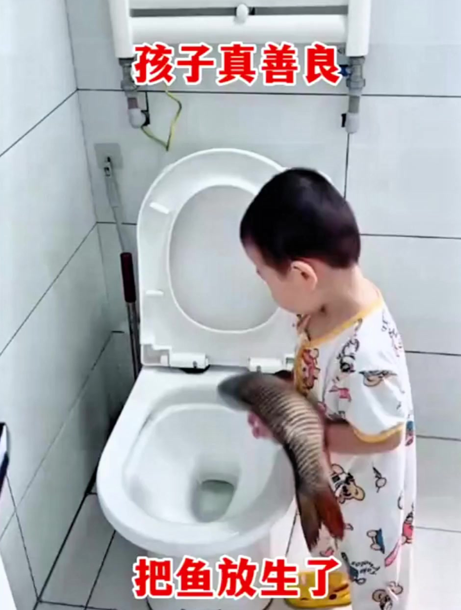 巴巴鱼善良的小子图片