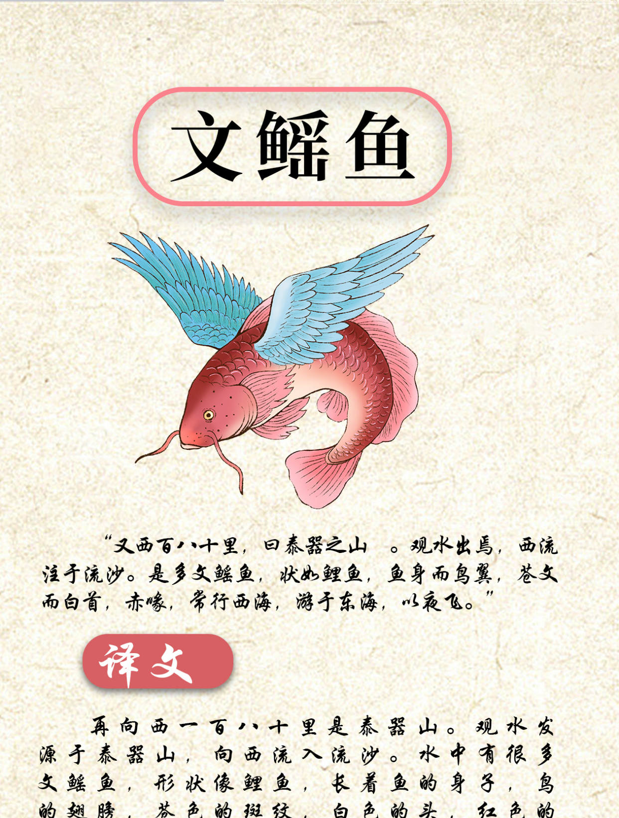 《山海经异兽录》之文鳐鱼与蠃鱼