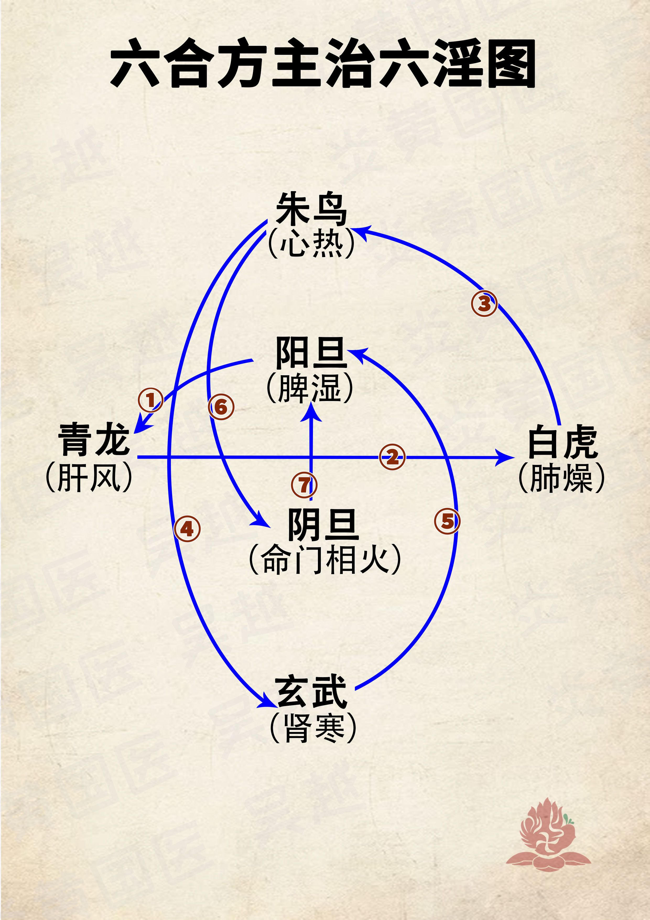 六味汤组成图片