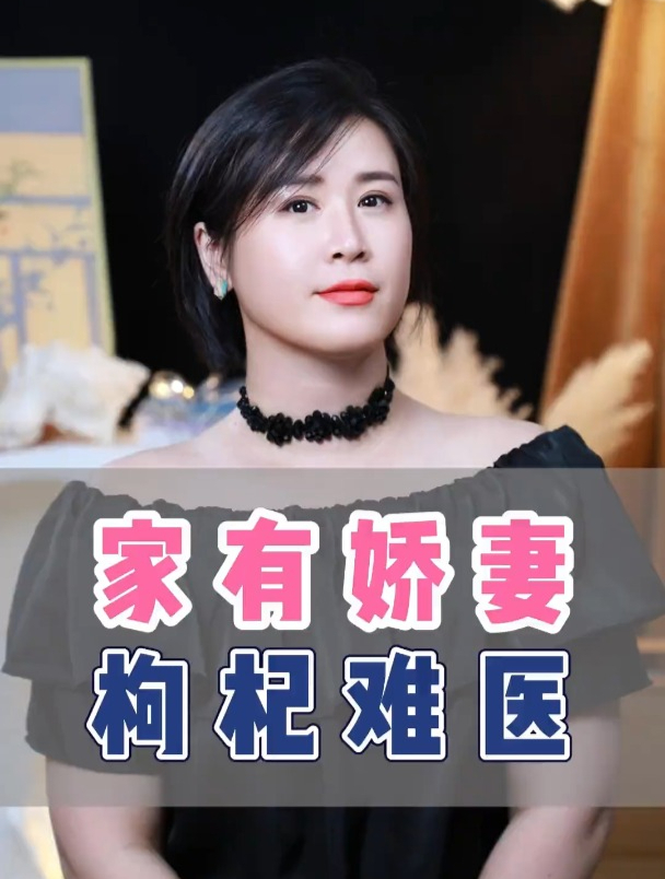 娇妻什么梗