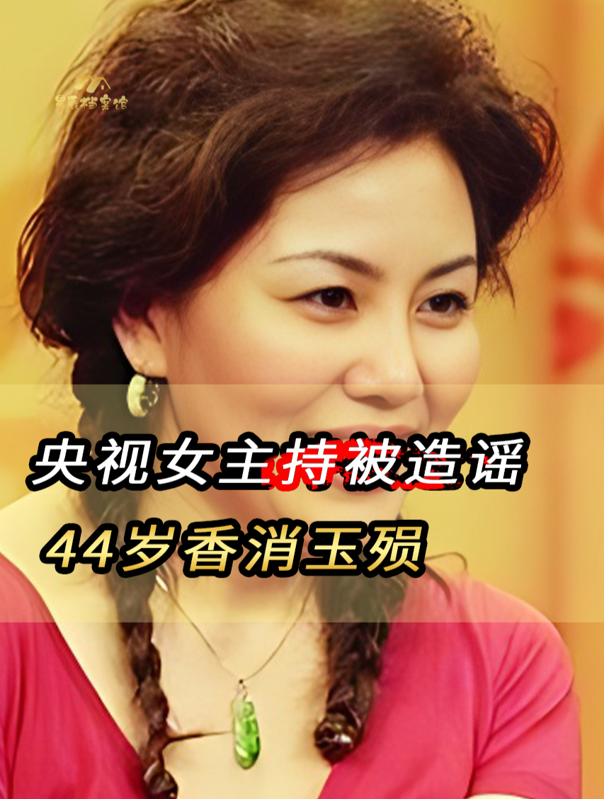 中央2台财经台女主持人间谍(中央2台财经台女主持人间谍视频)