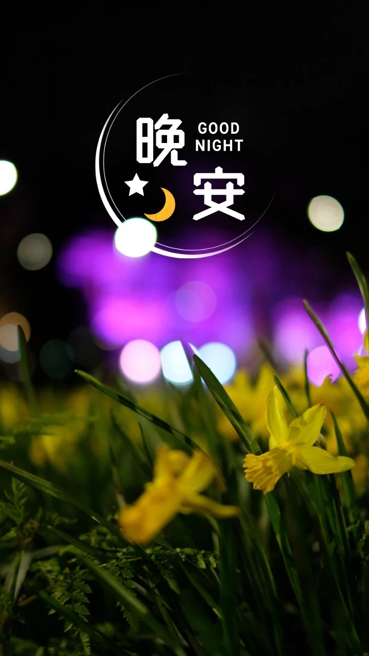 晚安心语 愿你在漫长的人生旅程中,始终坚持努力