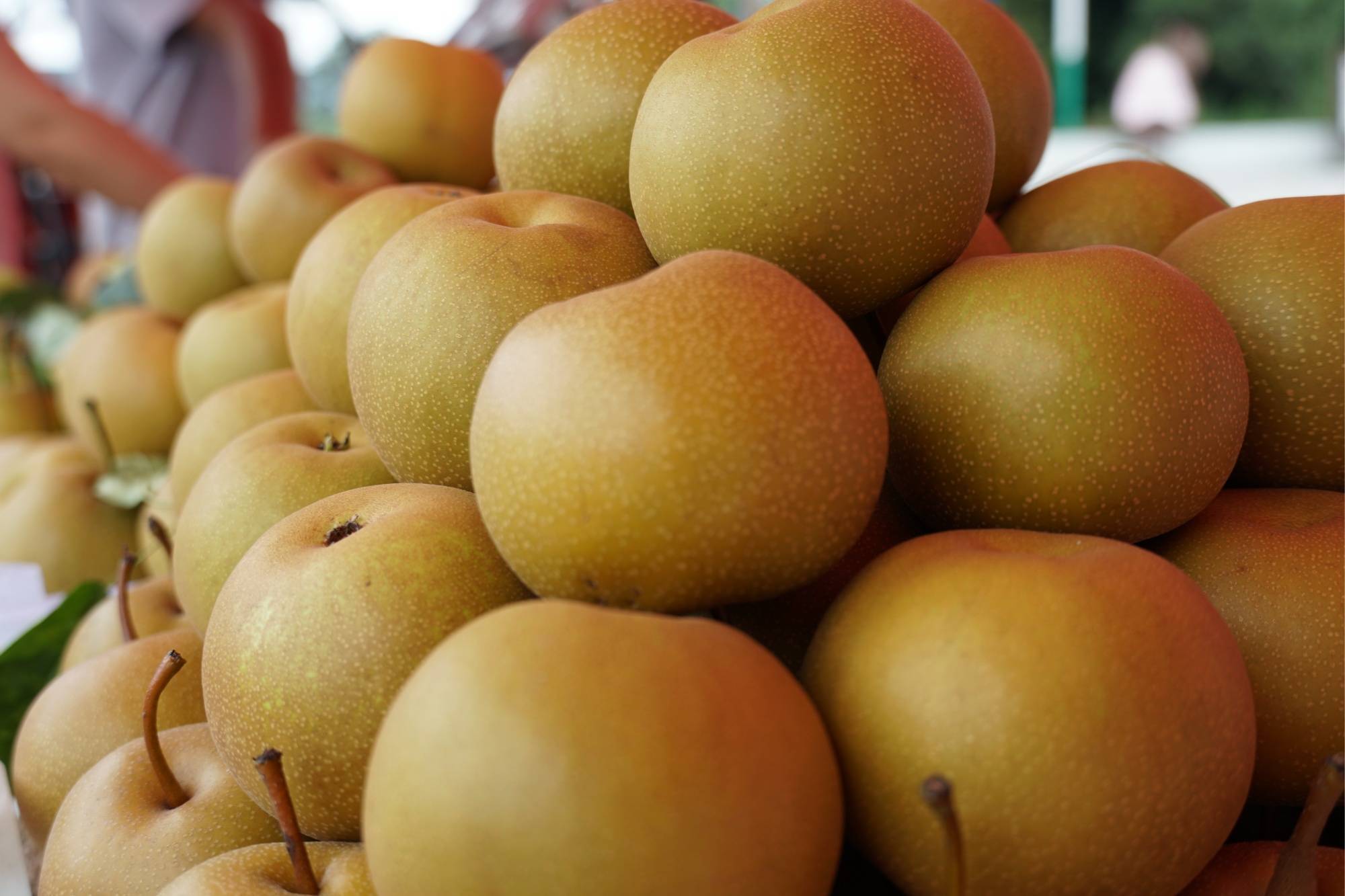 中国最好吃的梨子排名,哪种梨才是你心中的"梨王"?