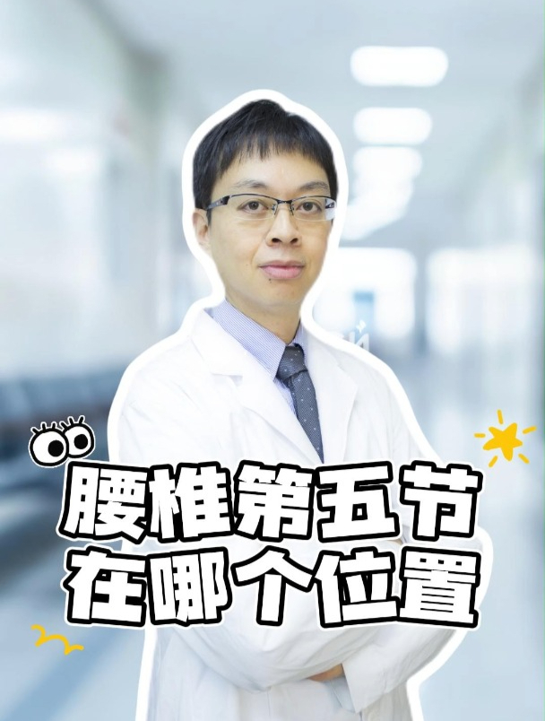 体检经常见到的腰椎第五节在哪个位置?