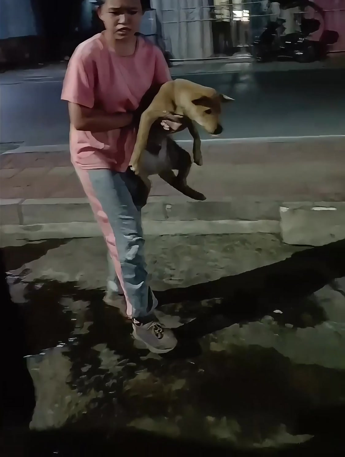 女儿看到爸爸拎小狗的方式心疼死了,女儿:爸爸你像狗贩子一样抓小狗