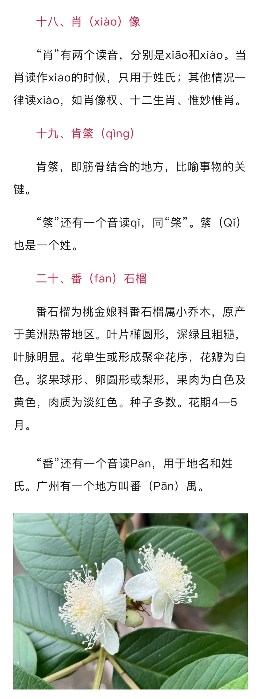 双音节和多音节形容词,多音节形容词和双音节形容词怎么区分 双音节和多音节形容词,多音节形容词和双音节形容词怎么区分