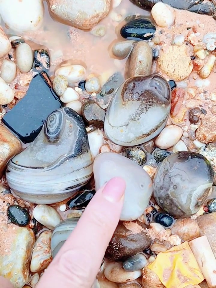 捡雨花石图片