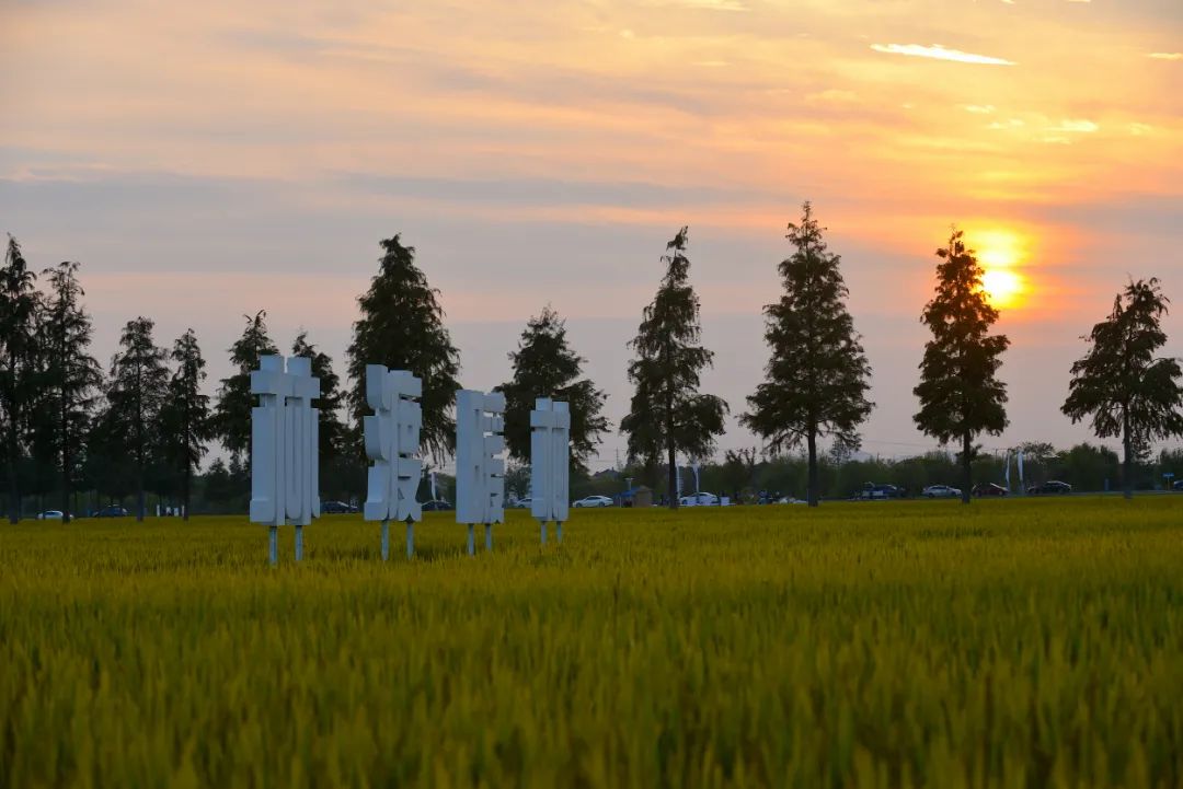 横泾林渡暖村