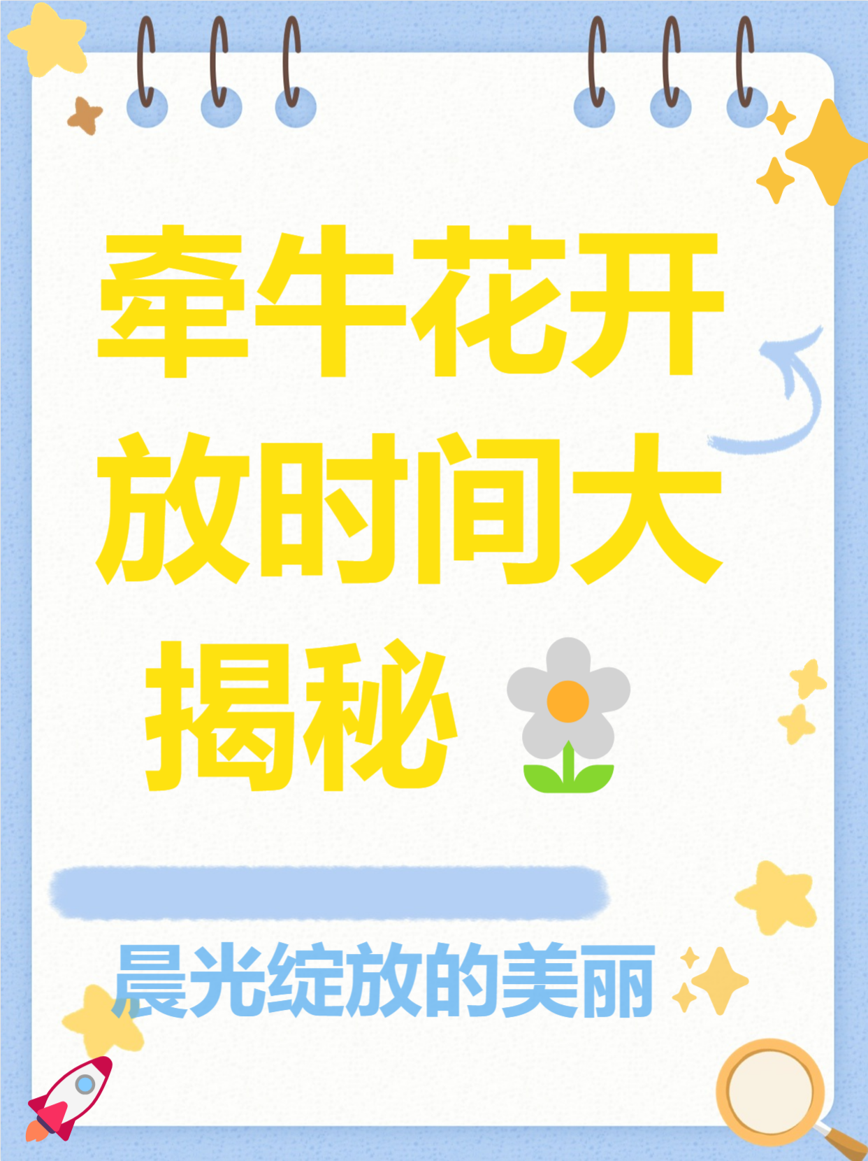 通过这篇文章,你会了解牵牛花的花期,开花时间,凋谢时间以及影响