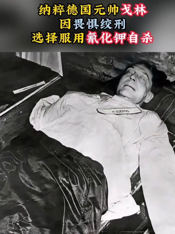 二战战犯绞死图片