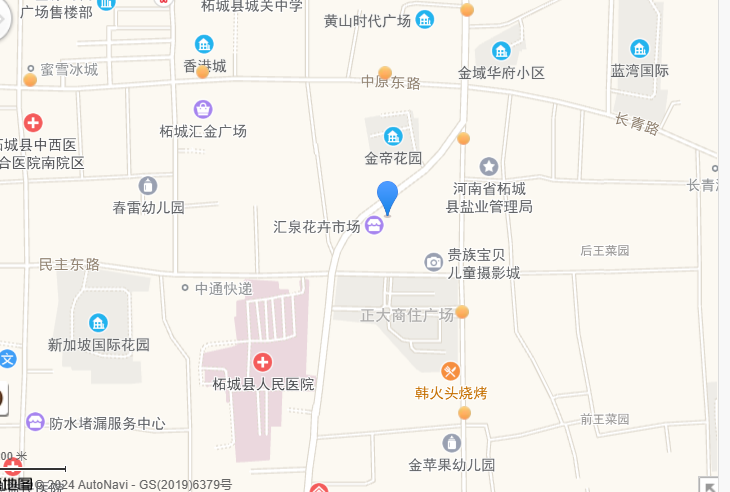 商丘市柘城县一栋三层带有花园的私人楼拍卖,被人捡漏24万买下