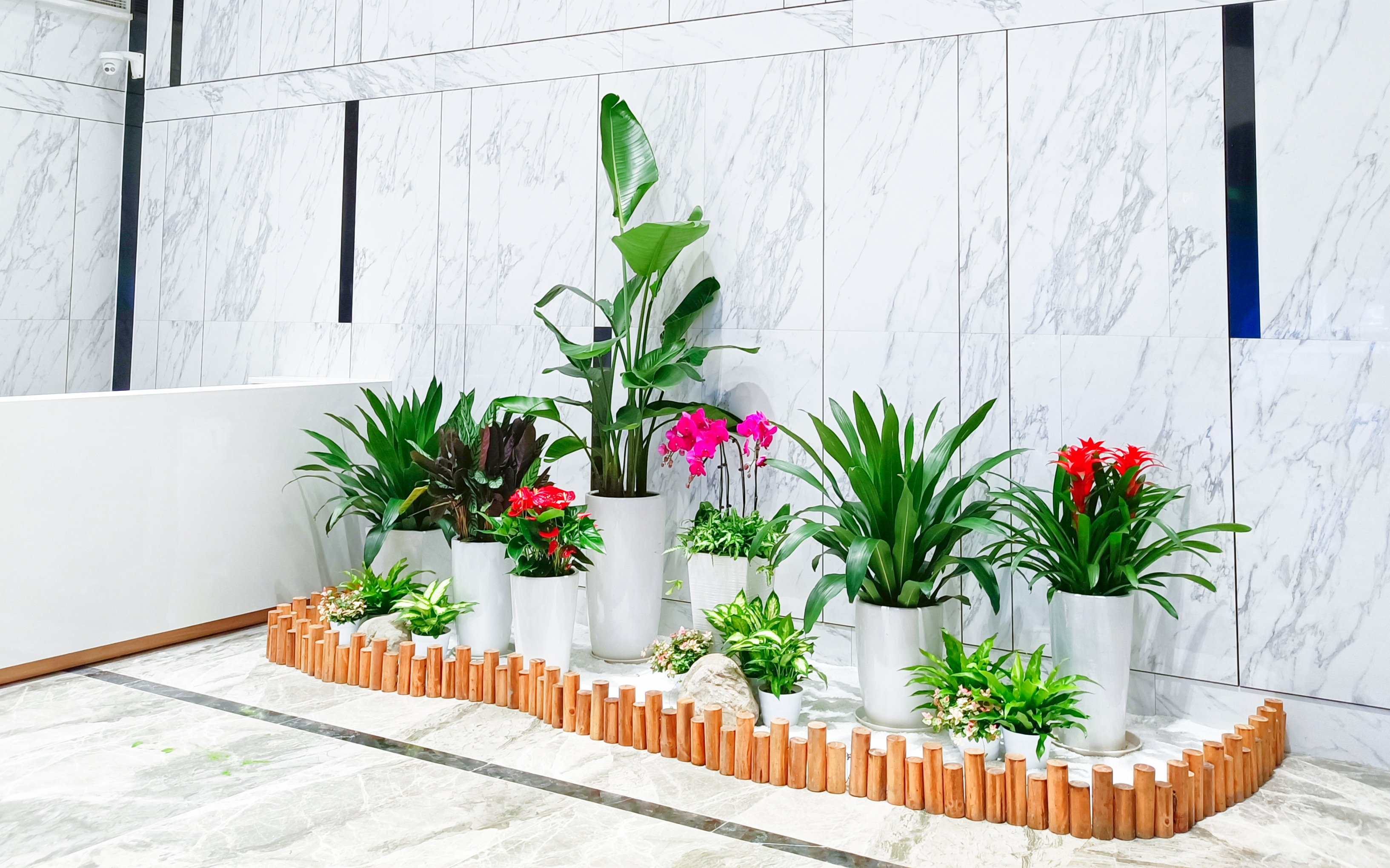 企业里的诗意角落:办公室内花坛,氛围感拉满