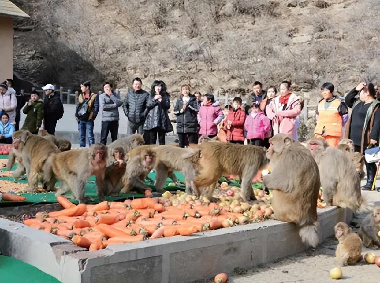 2007动物园纪录片图片