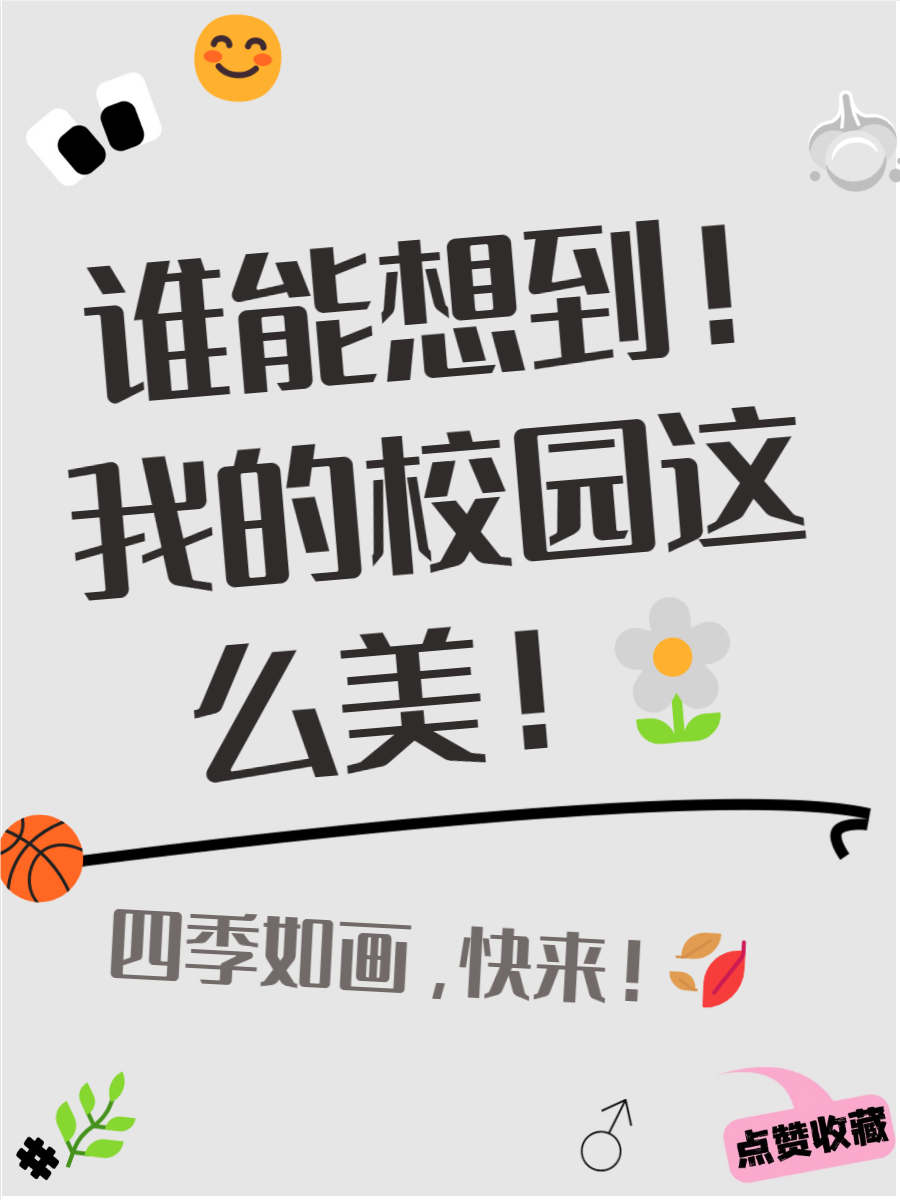 美篇唯美开头学校