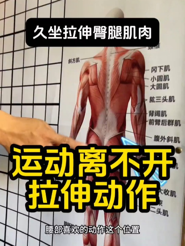 臀腿拉伸动作图片