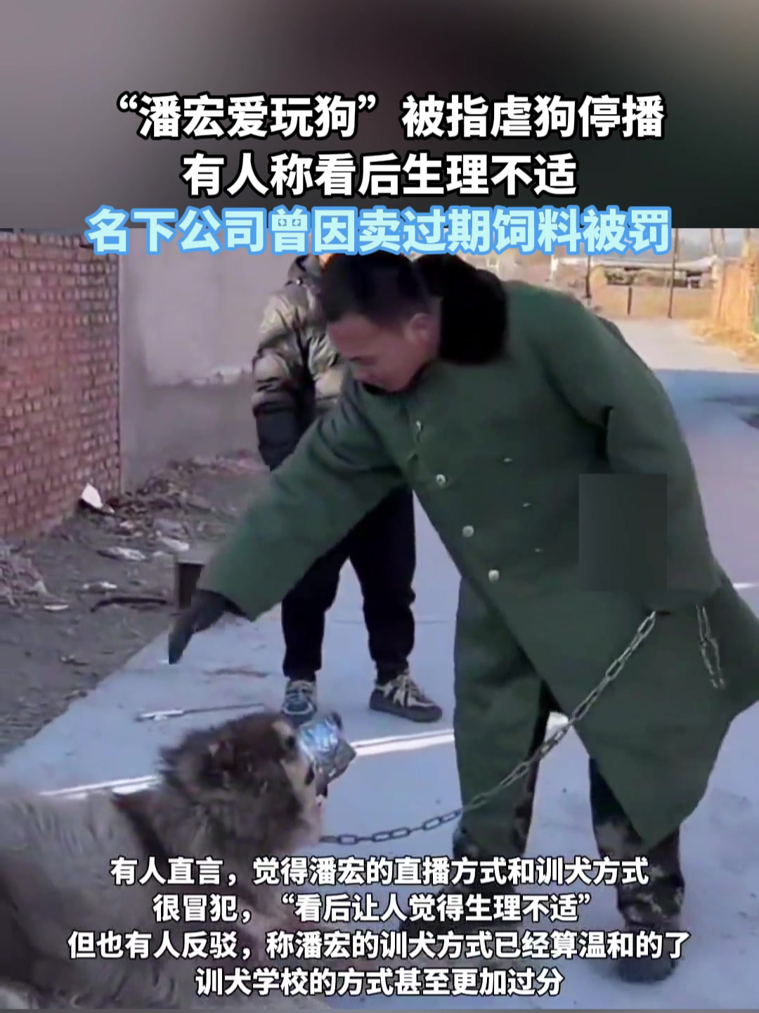 "潘宏爱玩狗"被指虐狗停播,有人称看后生理不适