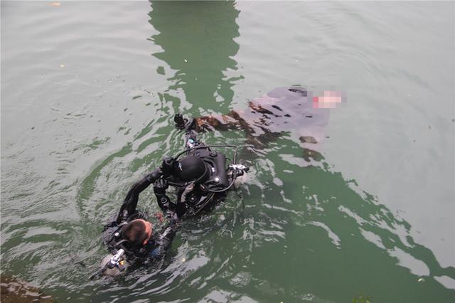 广西崇左女游客潜水溺亡事件引发的思考