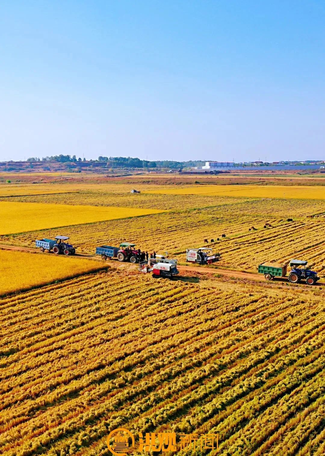 赣南大地 的民生密 农业转型相关图片5