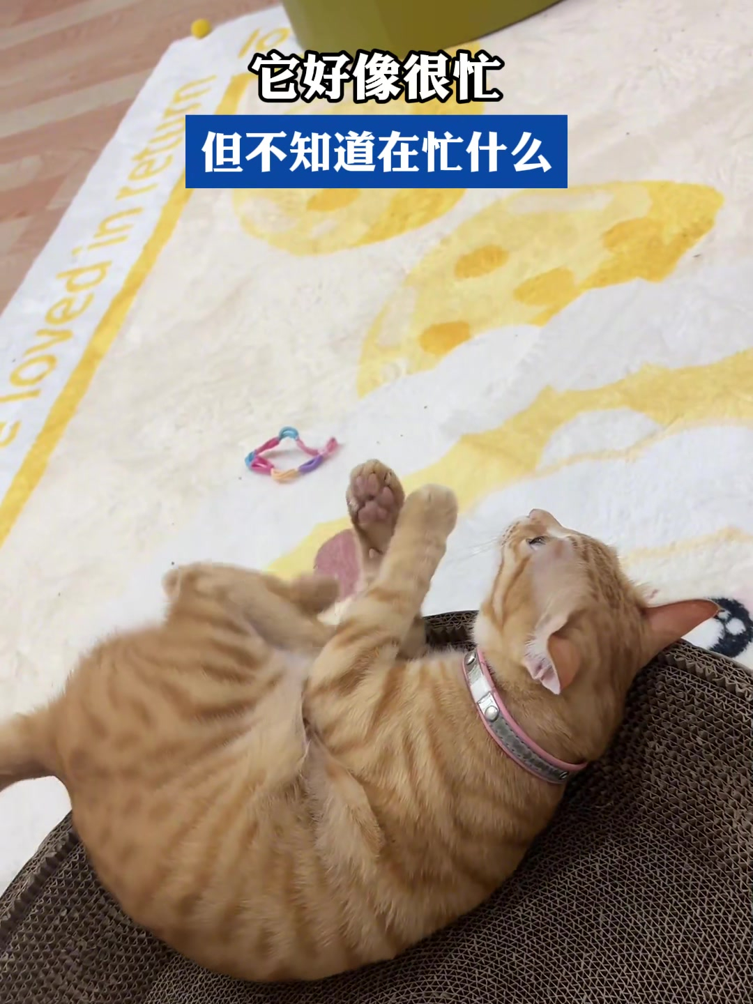 它好像很忙,但不知道在忙什么