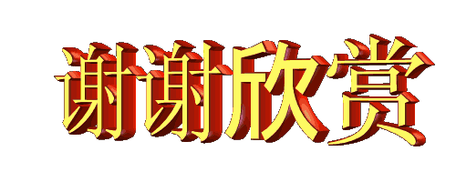 500_200gif 动态图 动图