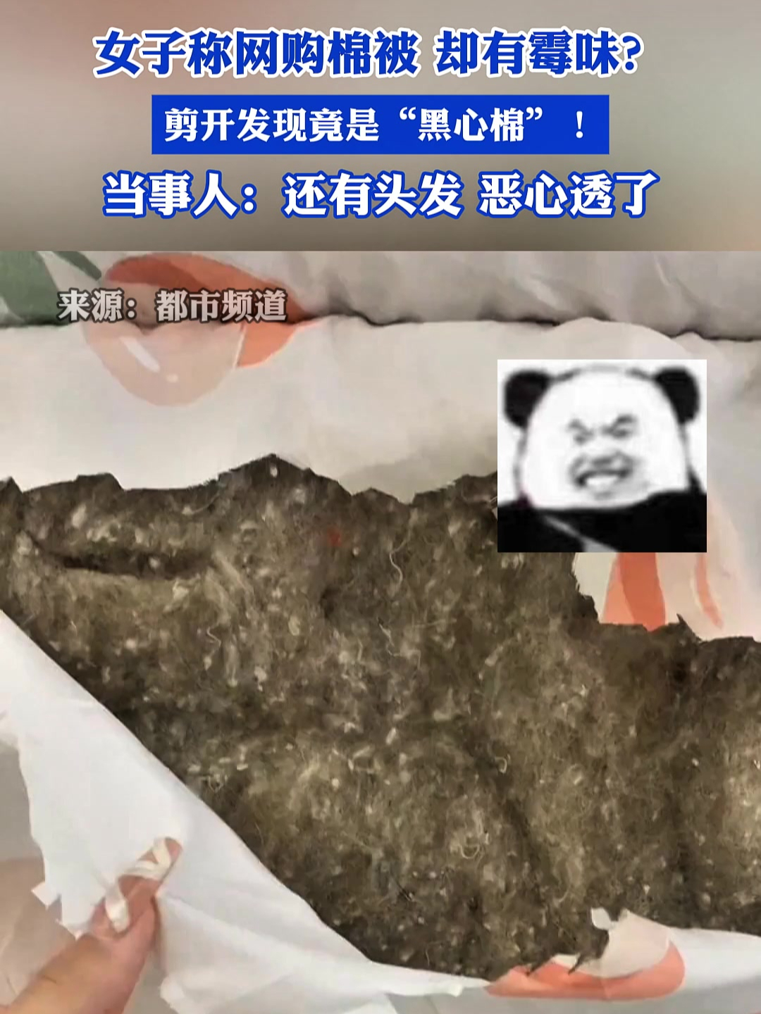 剪开发现竟是"黑心棉"!