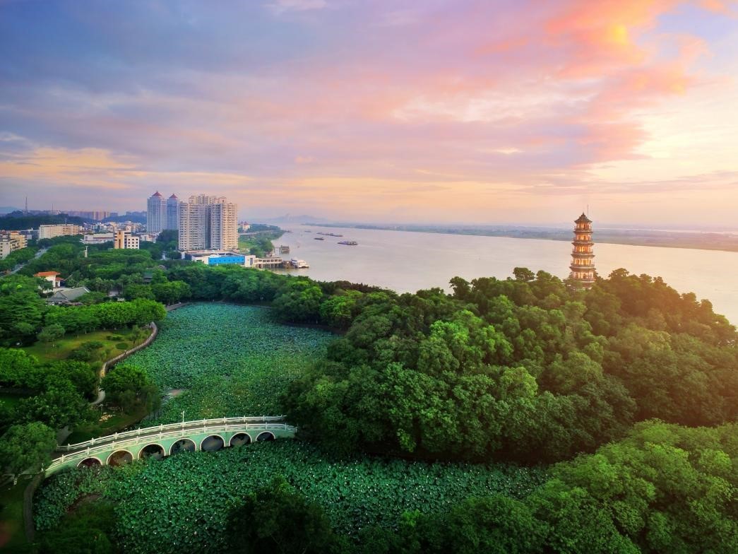 佛山高明旅游攻略:珠三角的宝藏,自然风光与红色文化交相辉映!