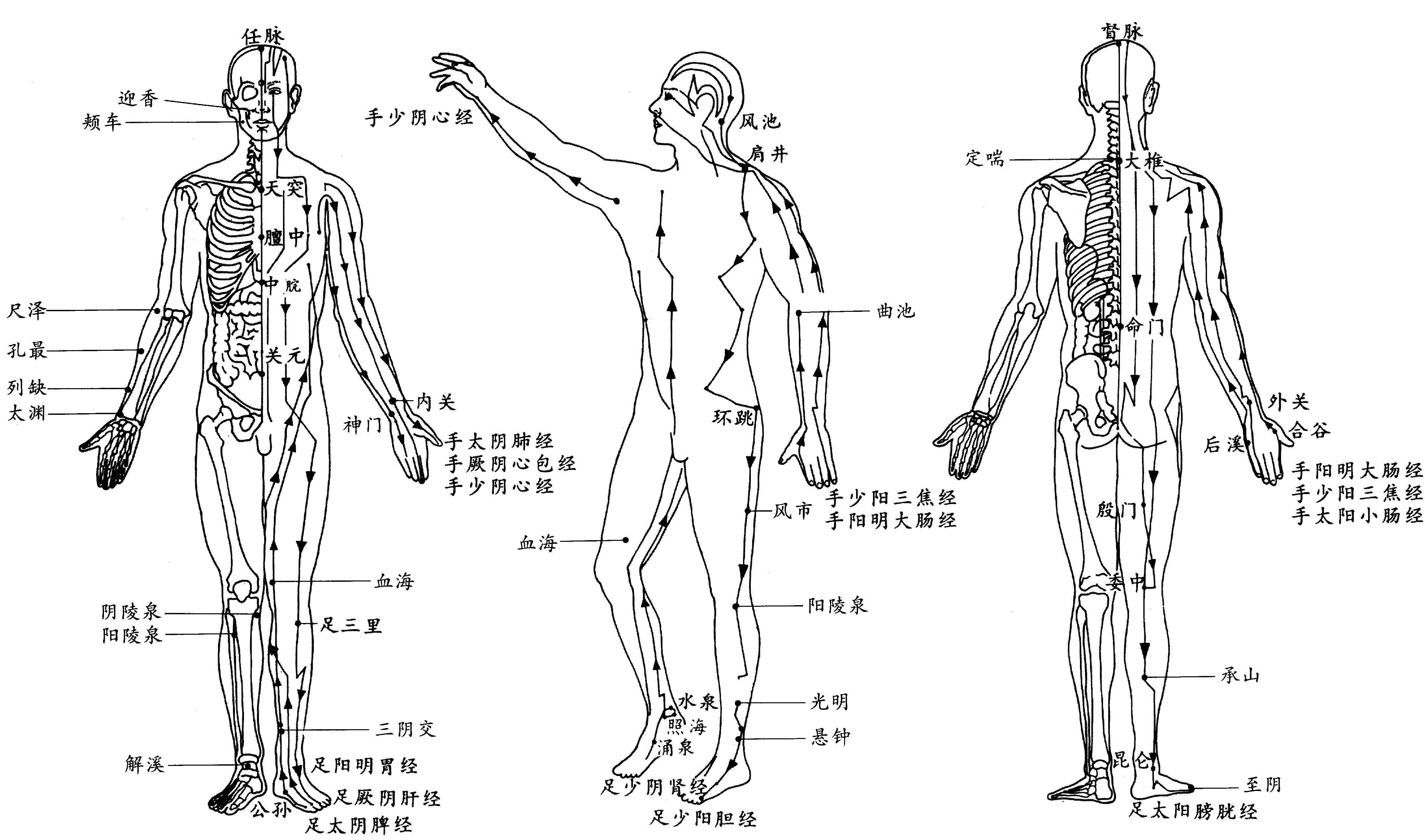 此外,中医的经络学说虽然尚未被现代科学完全解释清楚,但它对人体的