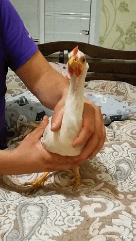 搞笑动图:手机屏幕破碎了,好像星空,美极了!