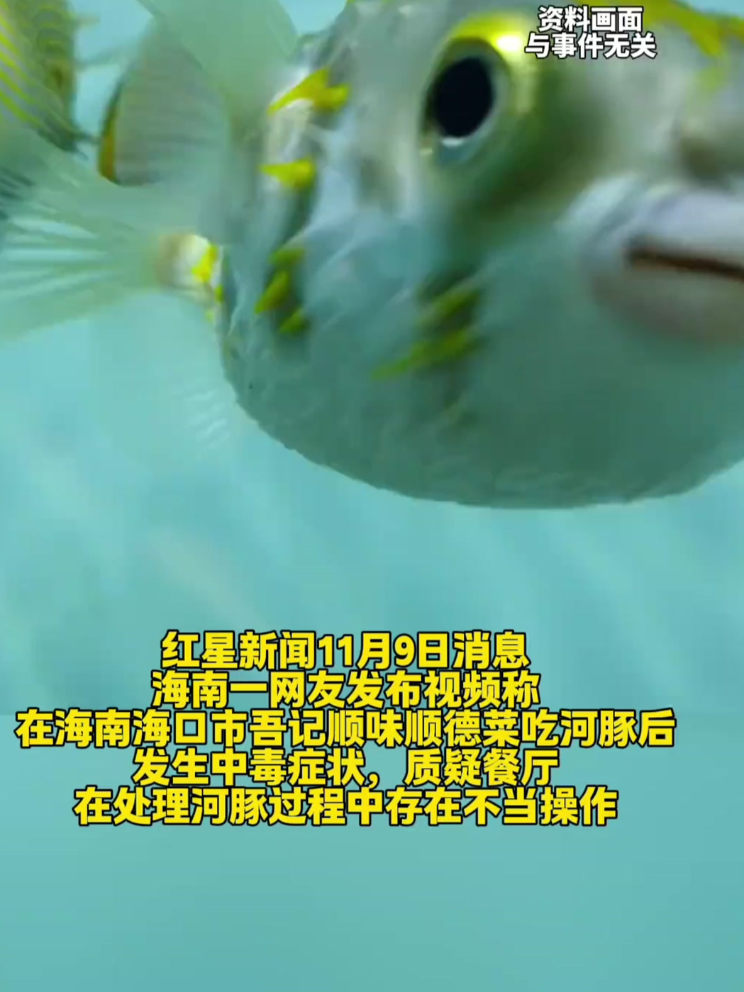 一女子饭店吃河豚刺身,到医院诊断河豚中毒