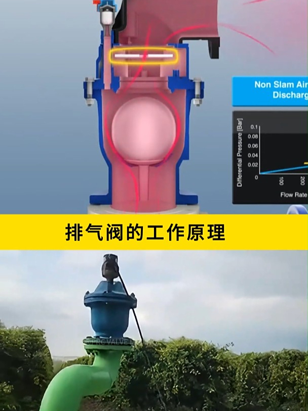 排气阀的工作原理