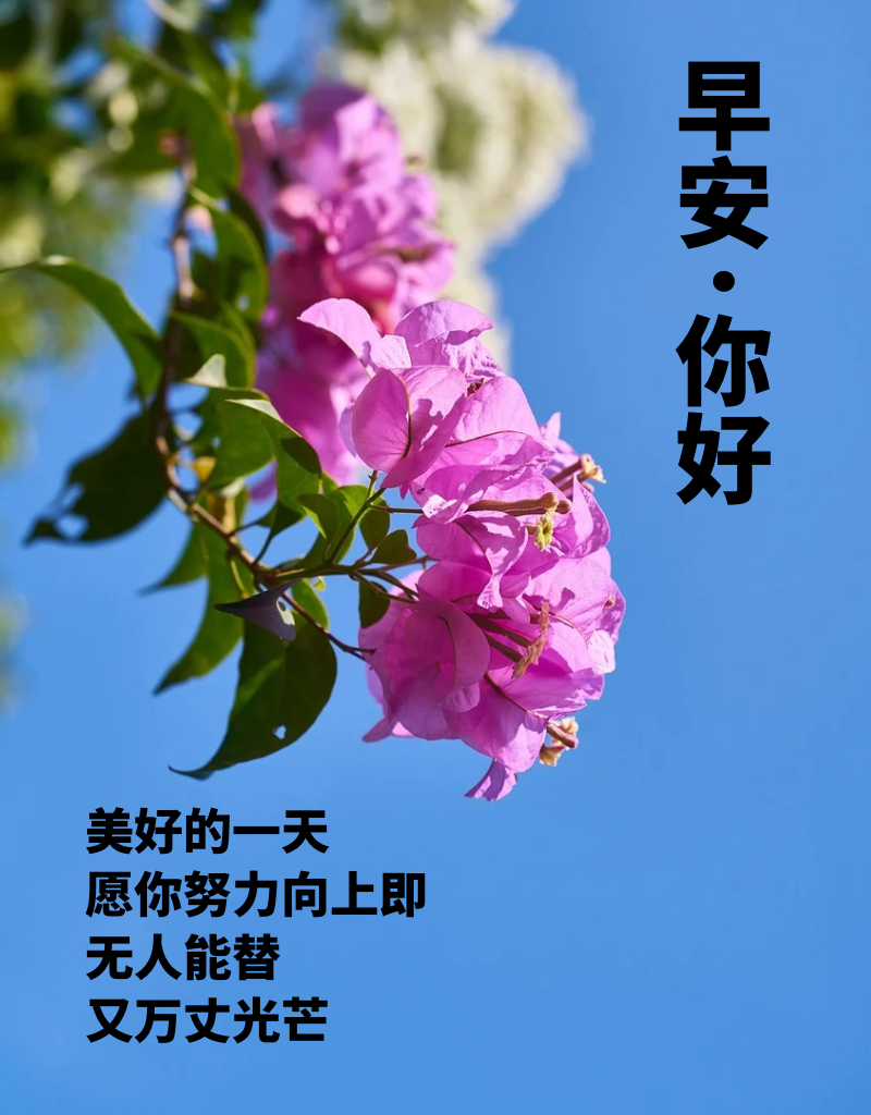 18句早上好问候语每日更新,正能量早安,很赞的短句