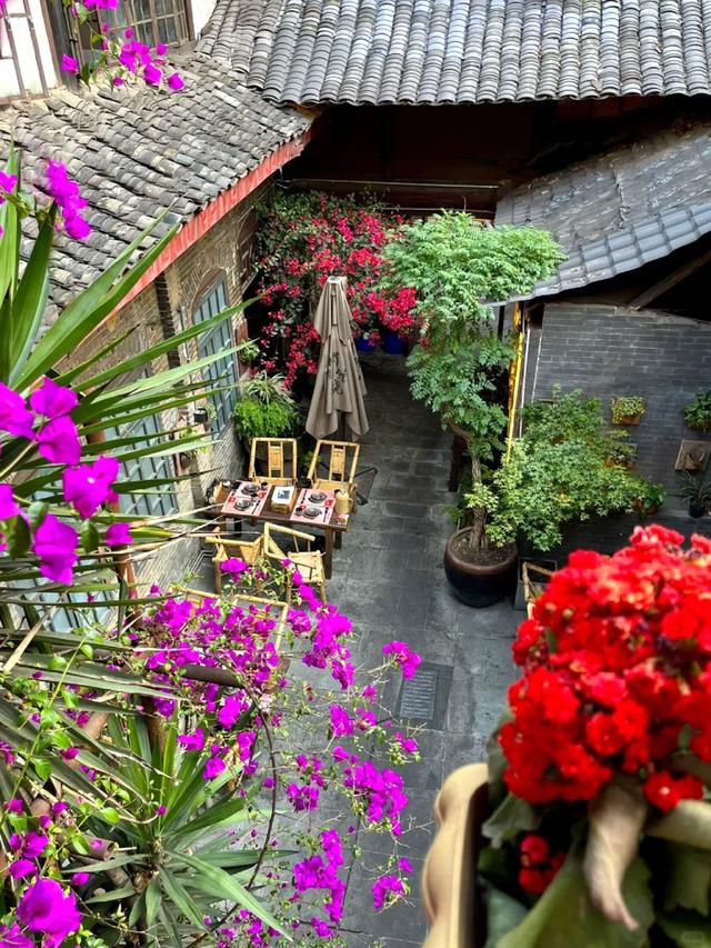 适合种在"院子里的漂亮花",好养长得快,浪漫又唯美,太治愈了