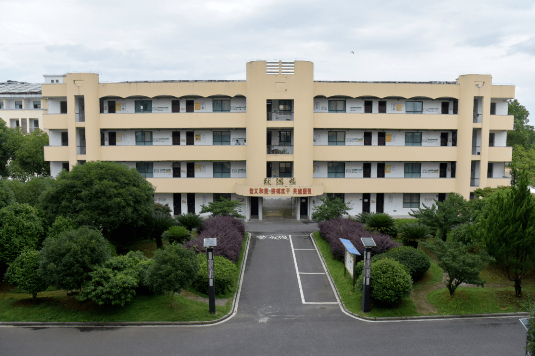 又美又飒的徐枫灿,教育背景不简单