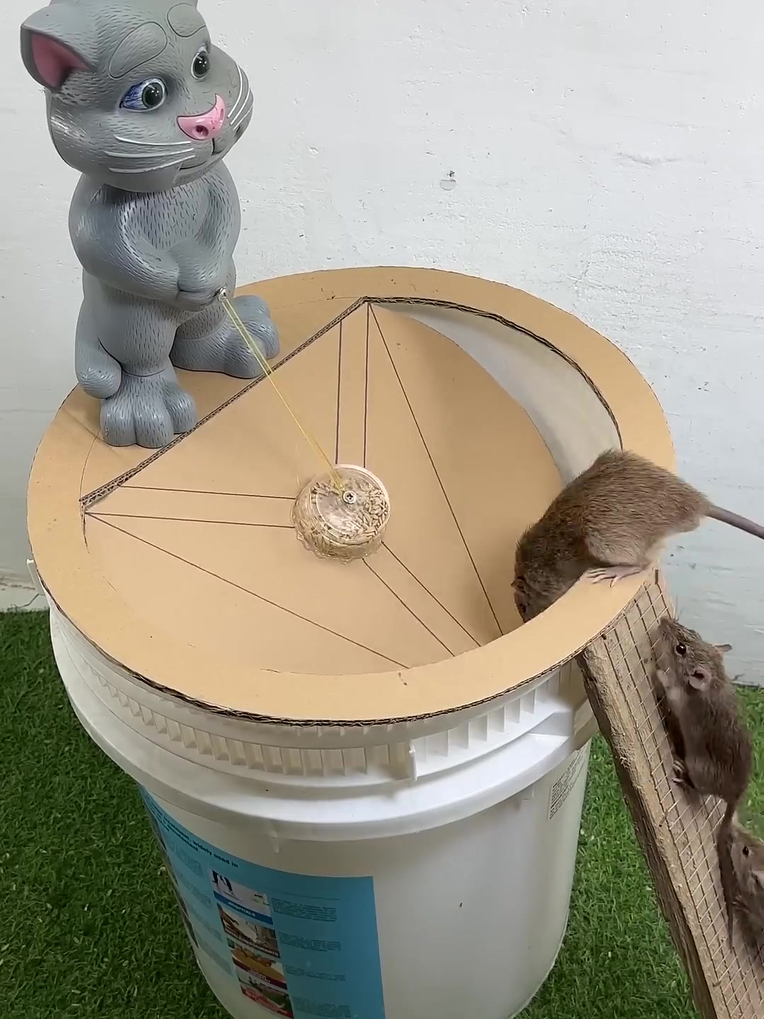 简单利用塑料油漆桶制作成的捕鼠器,老鼠贼好抓!