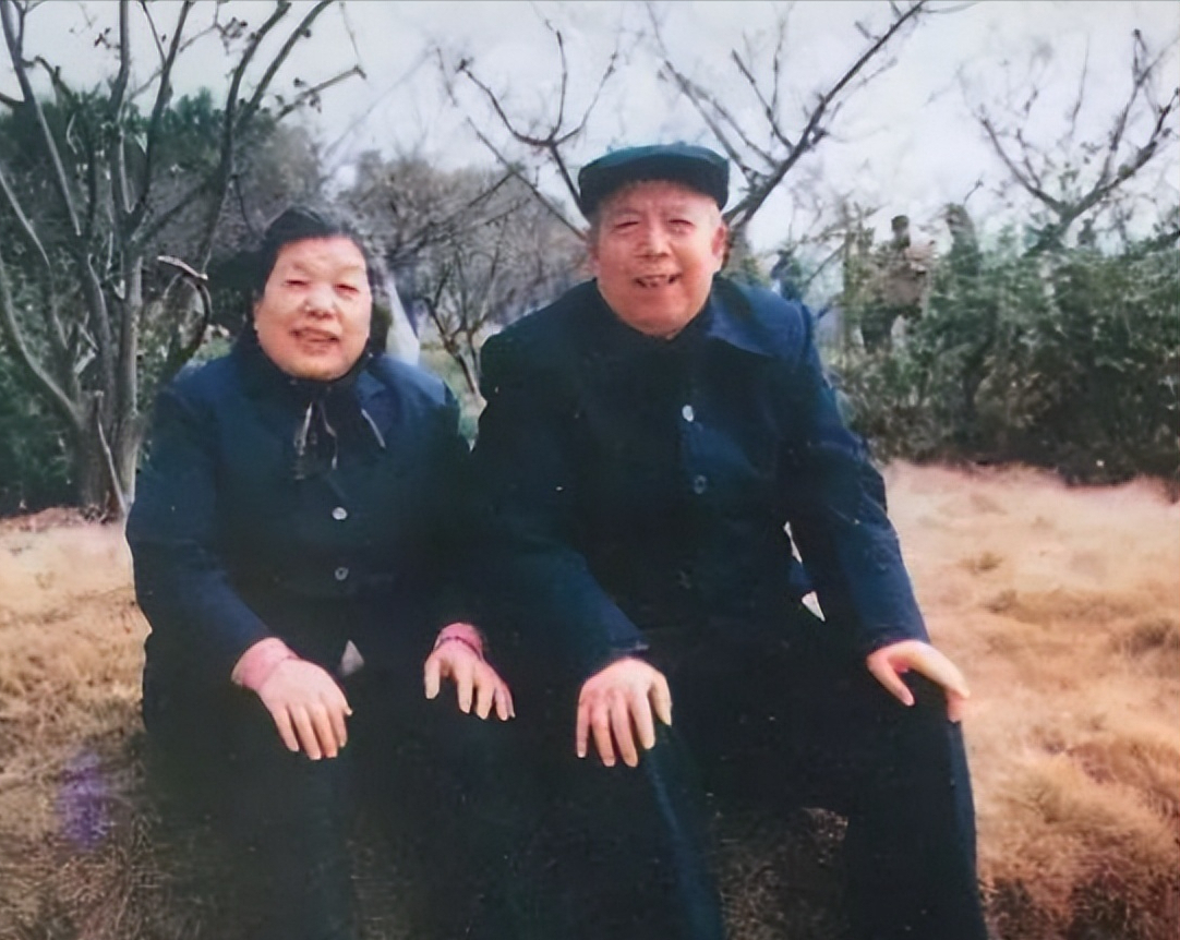 父亲是开国少将,两儿子却成了恶霸,儿子被捕后少将只说了八个字