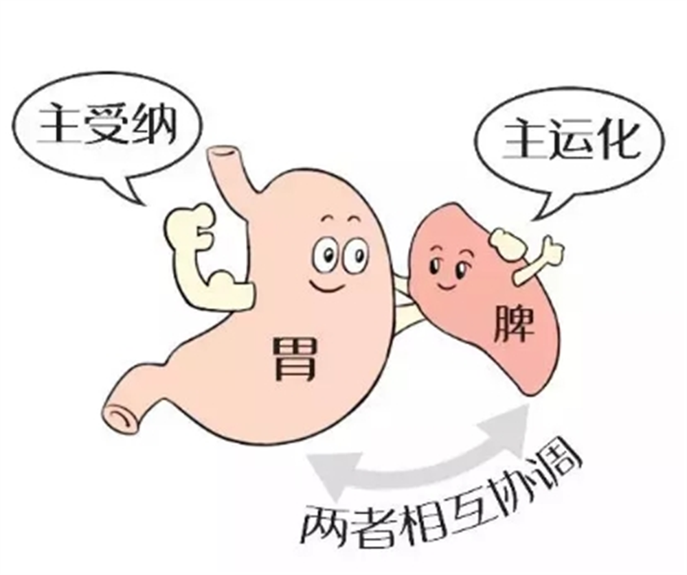 这几天,收到了不少家长发的私信,问我有没有帮助孩子调脾胃的食疗方