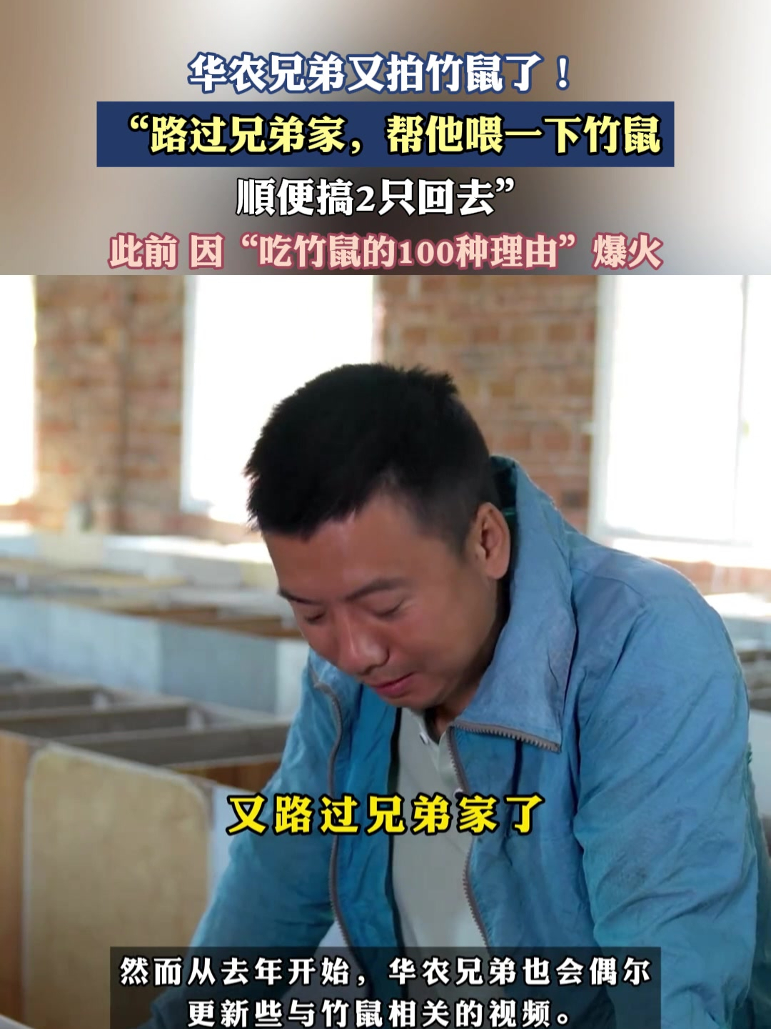 华农兄弟竹鼠梗图片