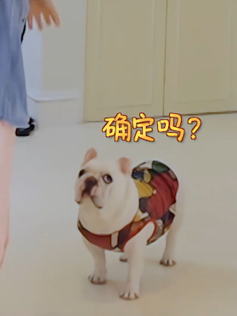 宋妍霏要接管厨房?狗都不信能做好饭,真怕厨房炸了丨家务男