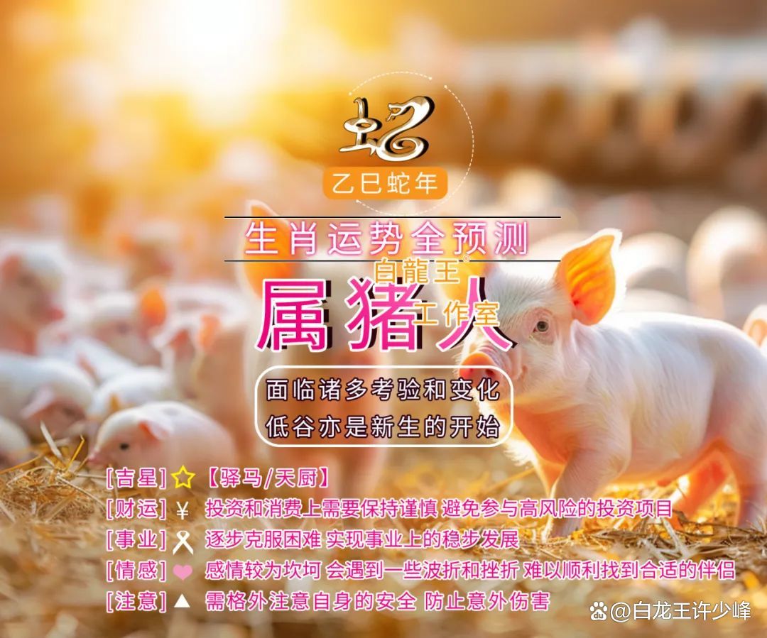 今日属猪生肖运势(今日属猪生肖运势如何)