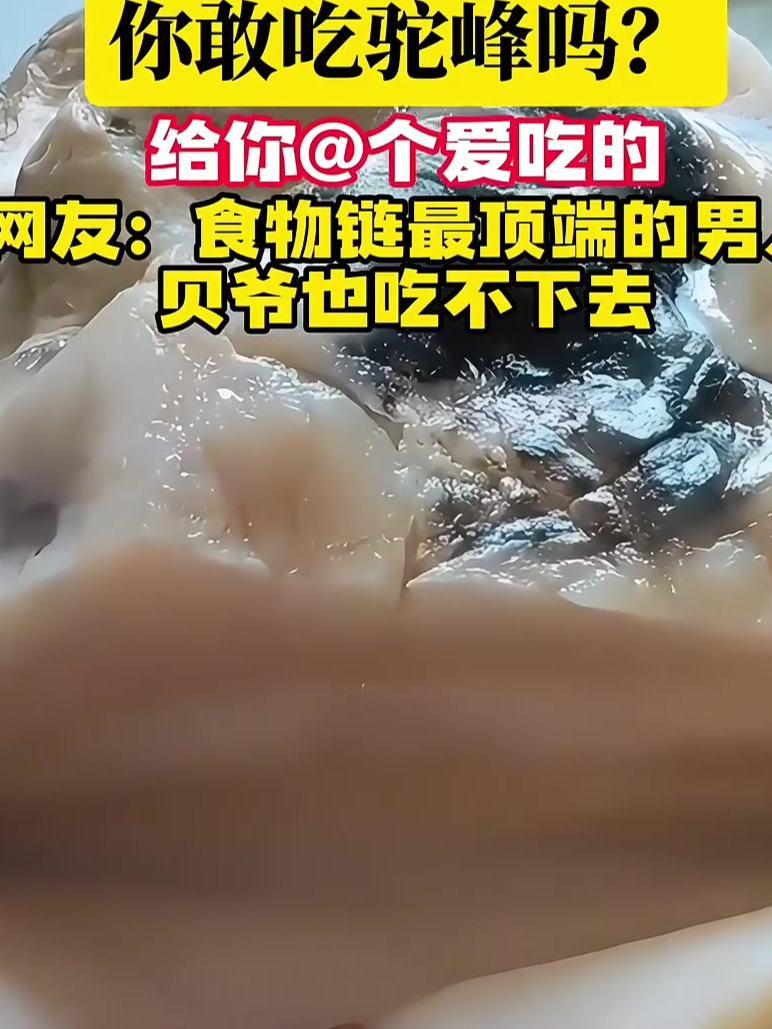 驼峰食物图片