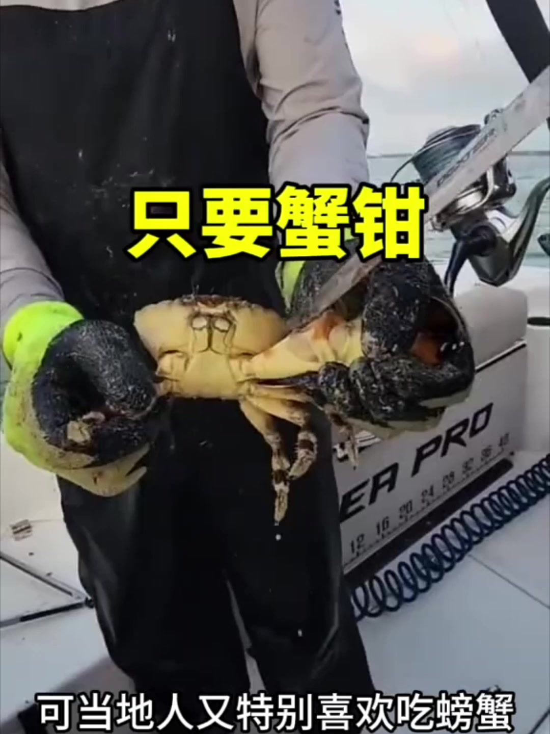 只要螃蟹钳子的捕蟹人