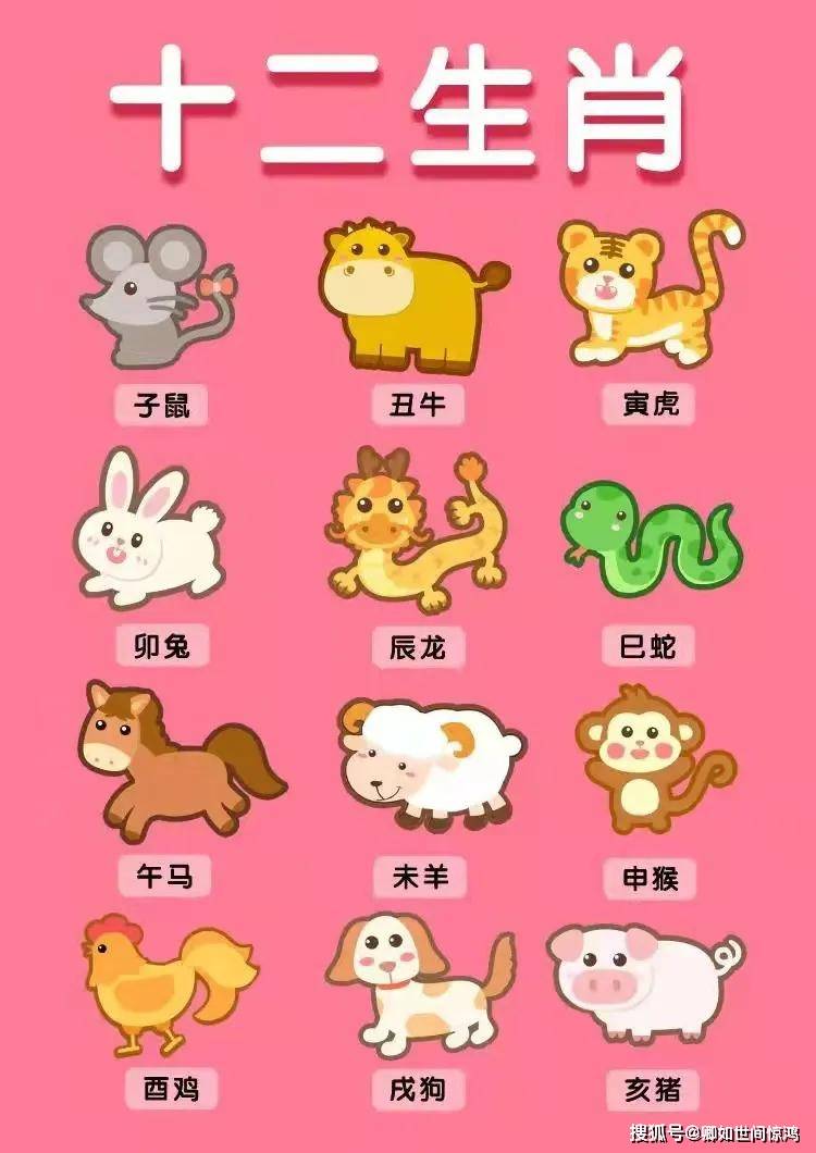 十二生肖周五运势查询(十二生肖每周运势,本周运势,本周生肖运势详解)