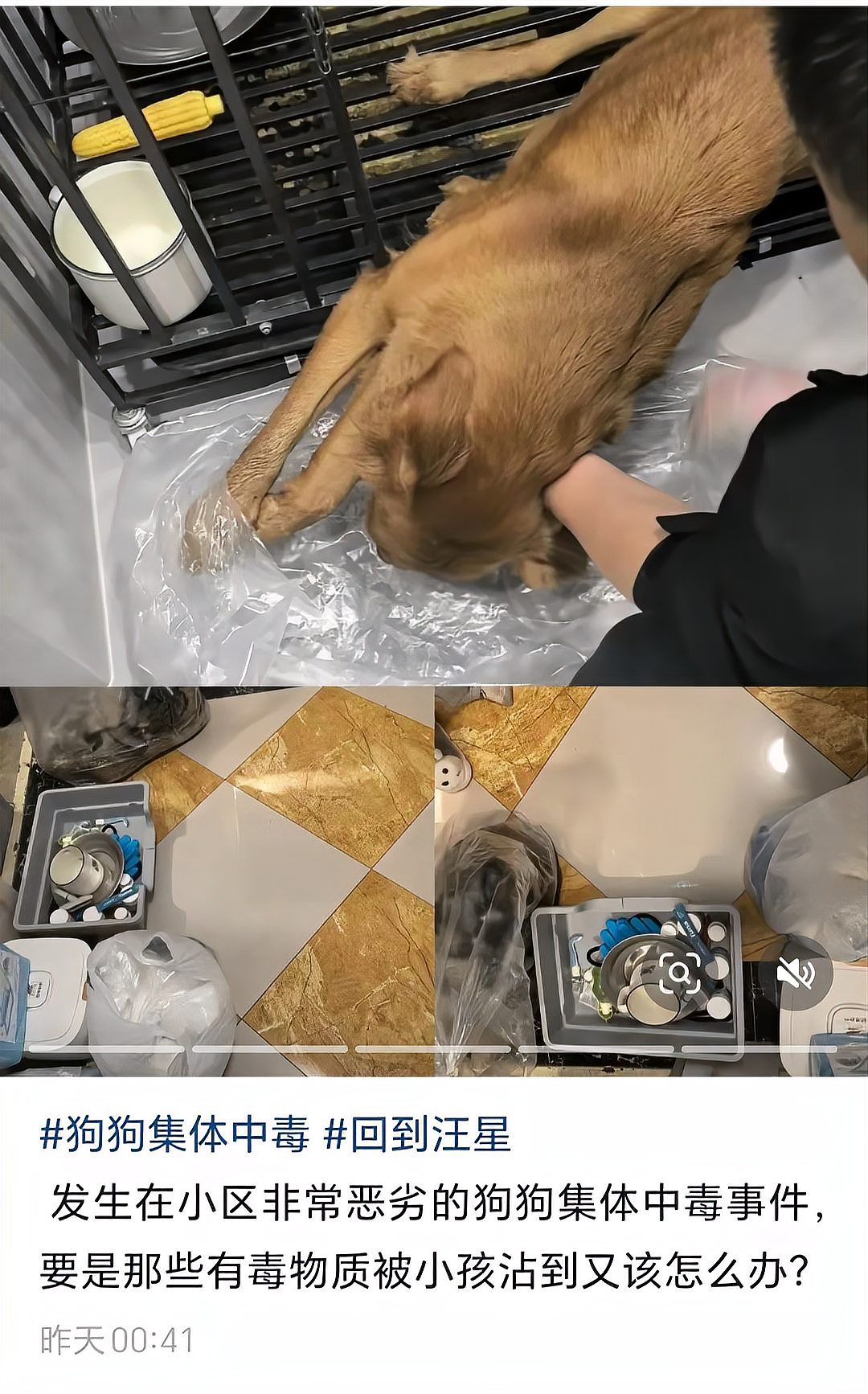 中毒身亡图片图片